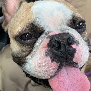 Meet your Posher, Mary